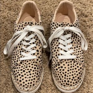 Cheetah tennis. Vici